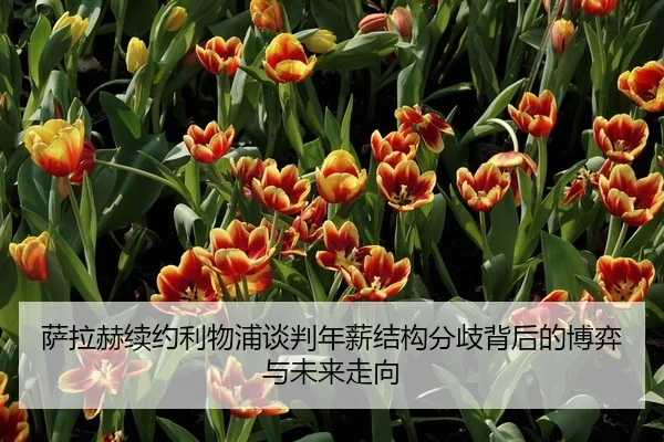 萨拉赫续约利物浦谈判年薪结构分歧背后的博弈与未来走向