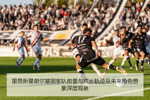 里昂新星谢尔基国家队前景与成长轨迹及未来角色想象深度观察