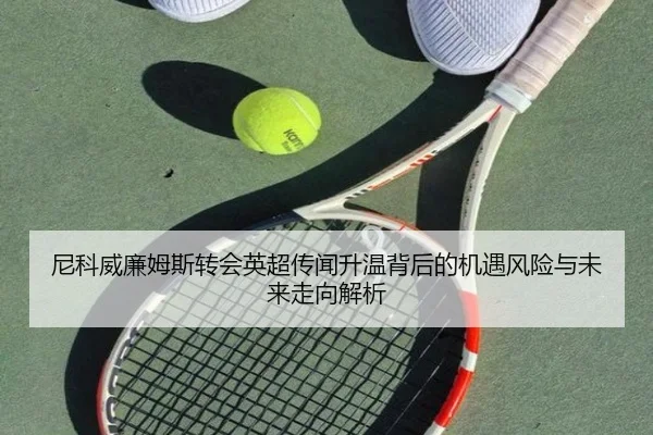尼科威廉姆斯转会英超传闻升温背后的机遇风险与未来走向解析
